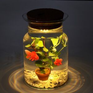 Aquariumplant met 2 nep goudvissen en aquariumplant. Boven op het glas zit een kurk met ingebouwde led verlichting