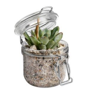 Cactus en succulenten mix in weckpotjes met grind en stenen