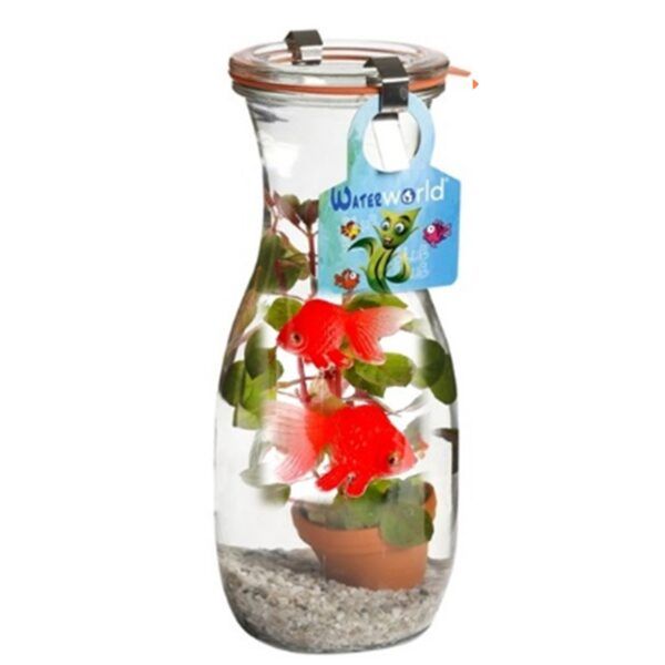 Glazen pot met aquariumplant